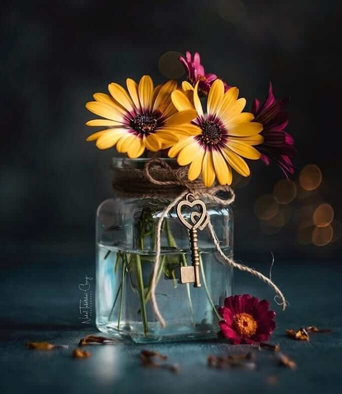 عکس پروفایل جدید ۱۴۰۰ و ۲۰۲۱