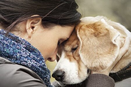 رابطه جنسی با حیوانات یا همان زوفیلیا چیست ؟