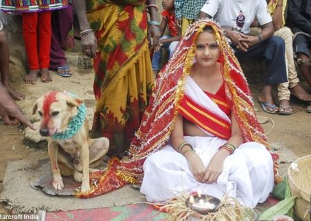 رابطه و ازدواج با حیوانات نظیر سگ و بز و گاو