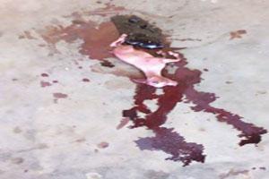 زن نیجریه که باردار بود بز به دنیا آورد + تصاویر