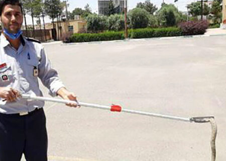 مار افعی شاخدار در ماشین مرد یزدی + عکس