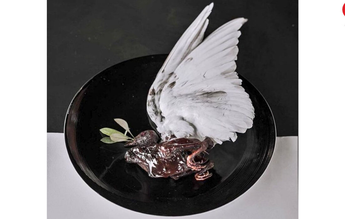 سرو بیرحمانه کبوتر در تهران