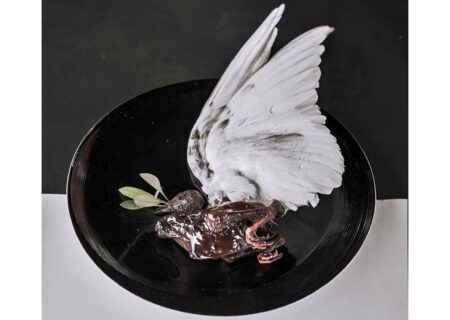 سرو بیرحمانه کبوتر در تهران